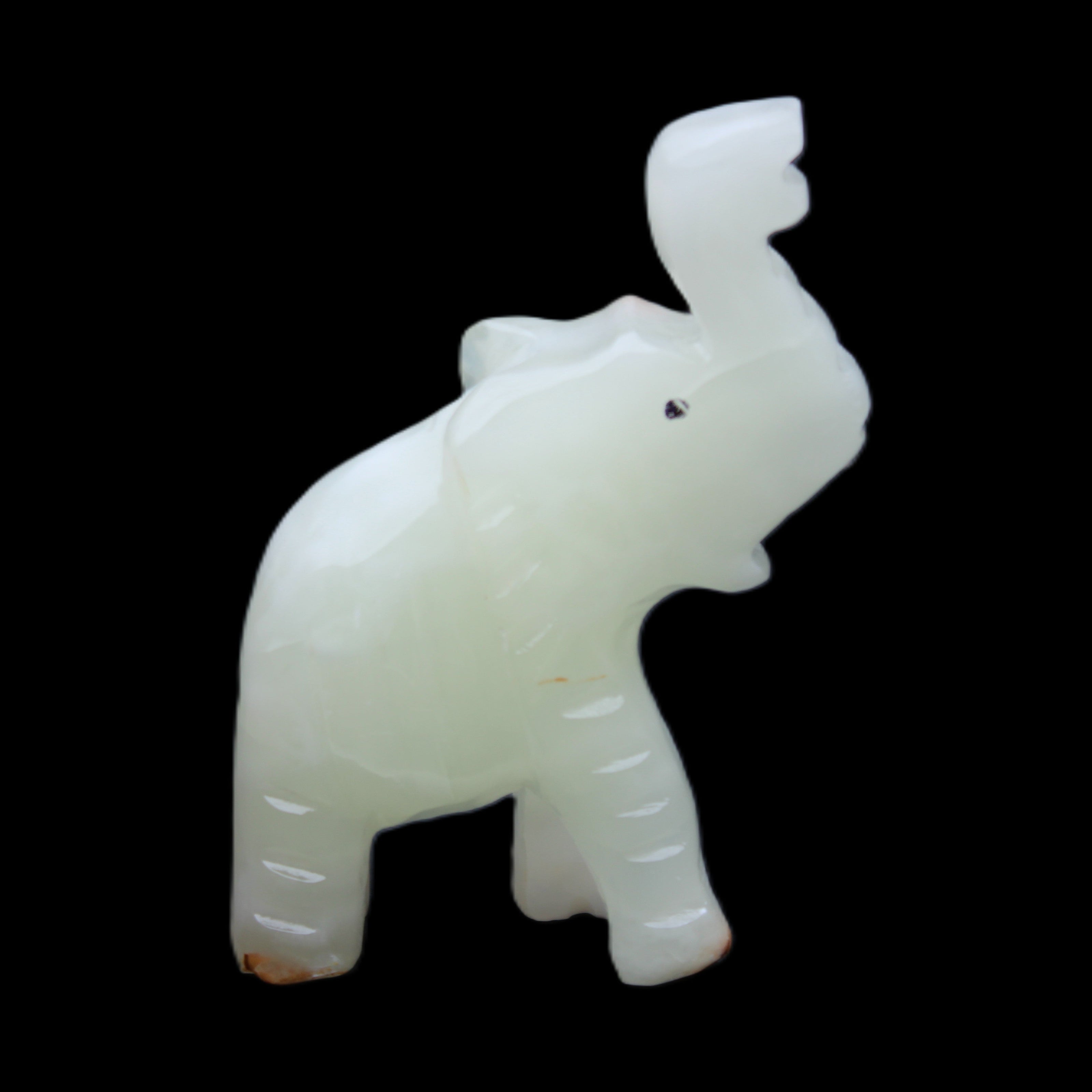 Afghan Jade hand-carved Elephant 68*28*110mm 225g in sunlight - Rocks and Things Store
