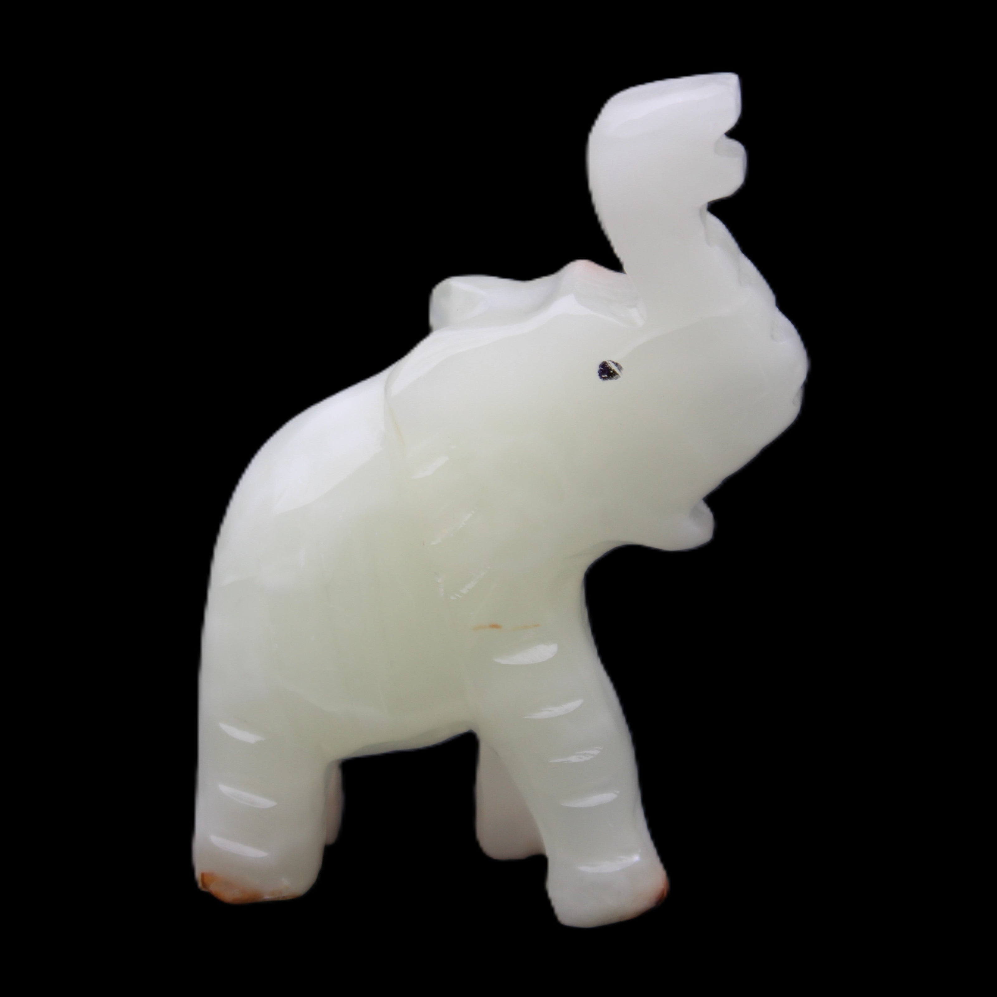 Afghan Jade hand-carved Elephant 68*28*110mm 225g in sunlight - Rocks and Things Store