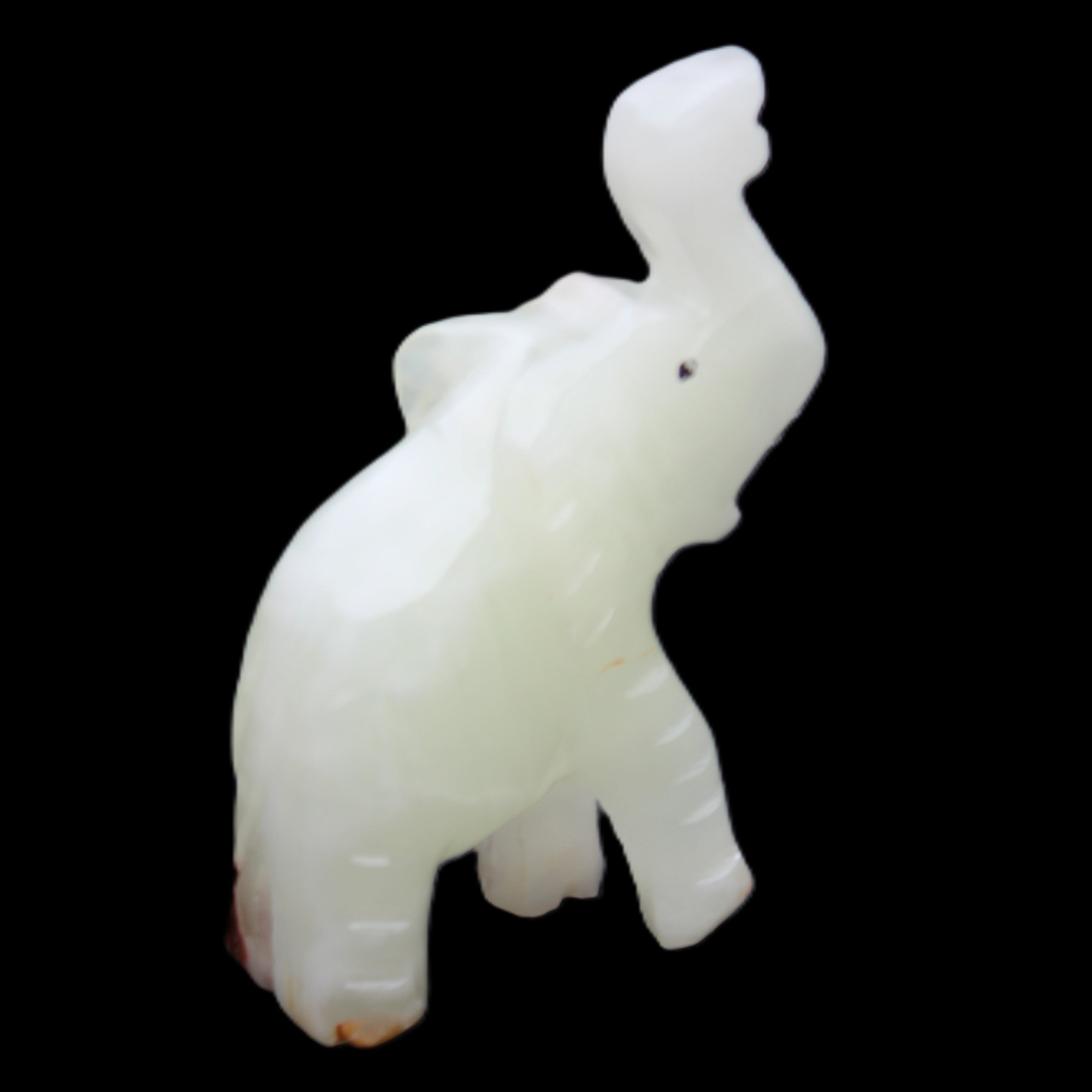 Afghan Jade hand-carved Elephant 68*28*110mm 225g in sunlight - Rocks and Things Store