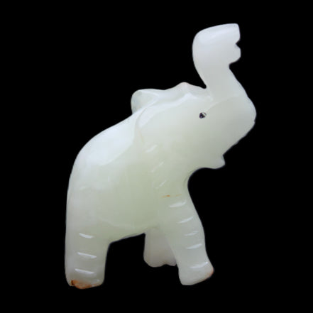 Afghan Jade hand-carved Elephant 68*28*110mm 225g in sunlight - Rocks and Things Store
