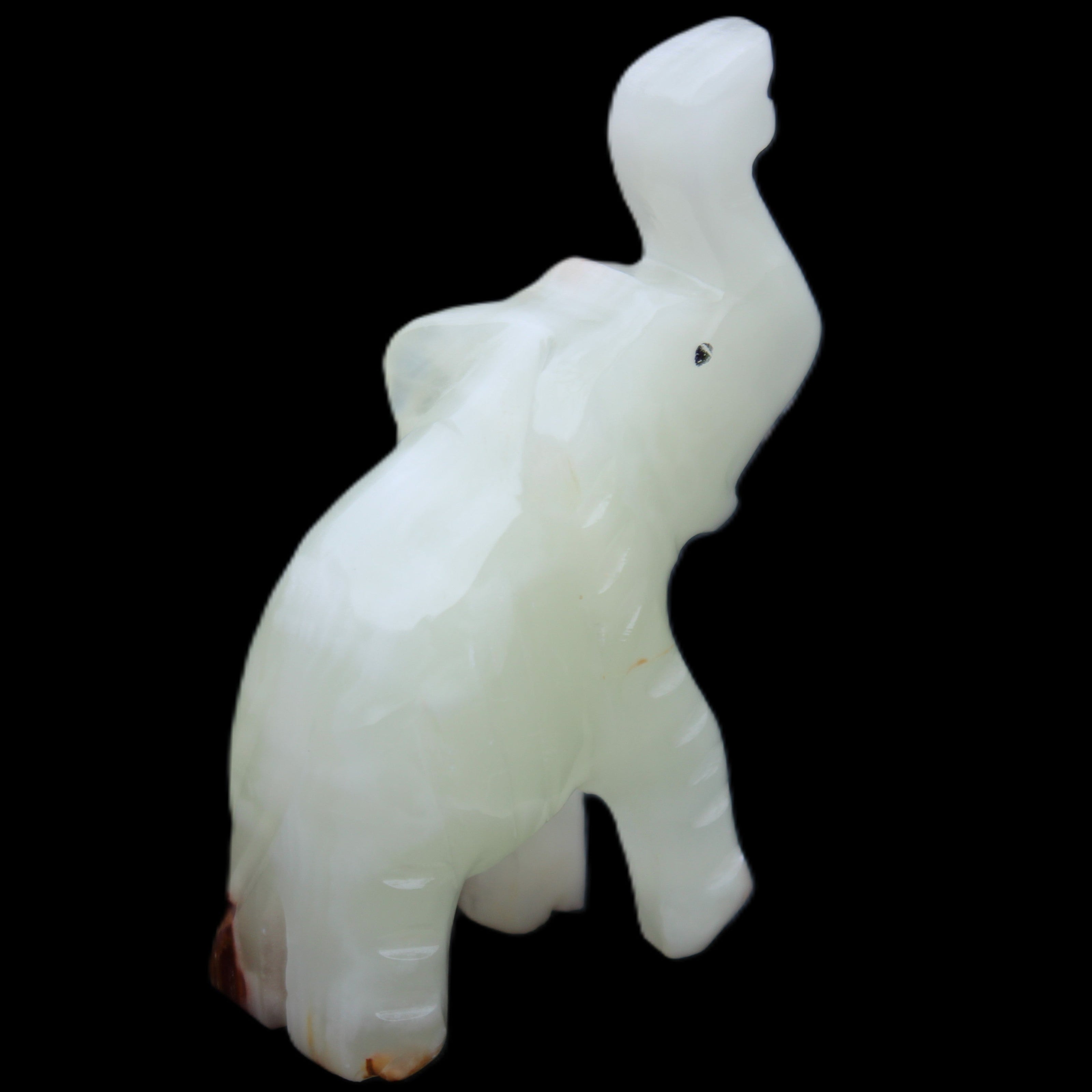Afghan Jade hand-carved Elephant 68*28*110mm 225g in sunlight - Rocks and Things Store