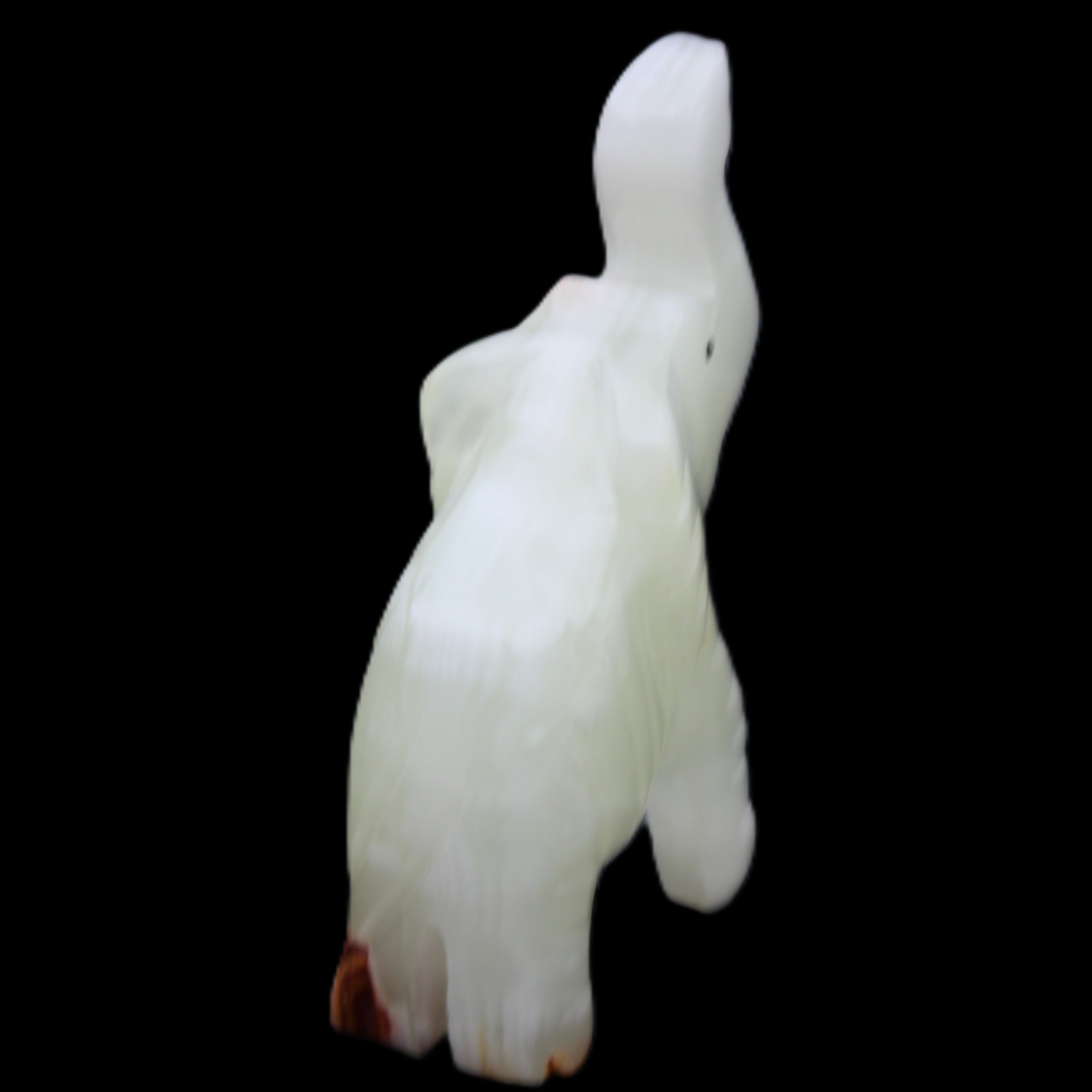 Afghan Jade hand-carved Elephant 68*28*110mm 225g in sunlight - Rocks and Things Store