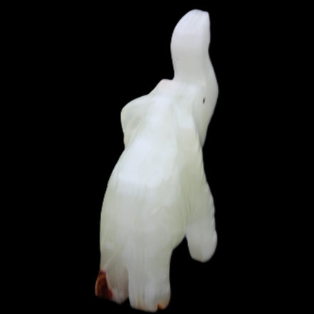 Afghan Jade hand-carved Elephant 68*28*110mm 225g in sunlight - Rocks and Things Store