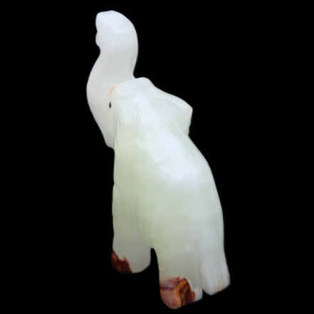 Afghan Jade hand-carved Elephant 68*28*110mm 225g in sunlight - Rocks and Things Store