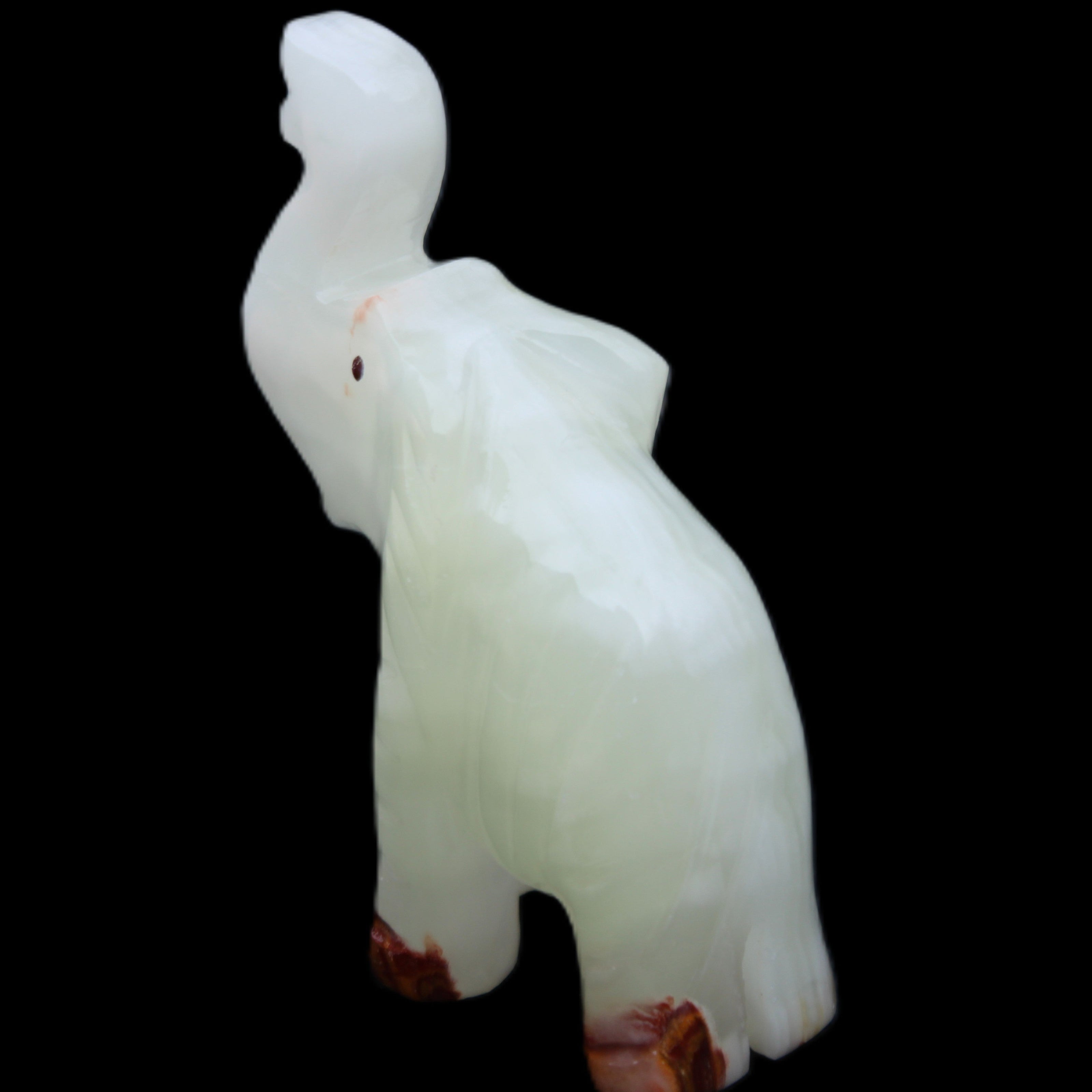 Afghan Jade hand-carved Elephant 68*28*110mm 225g in sunlight - Rocks and Things Store