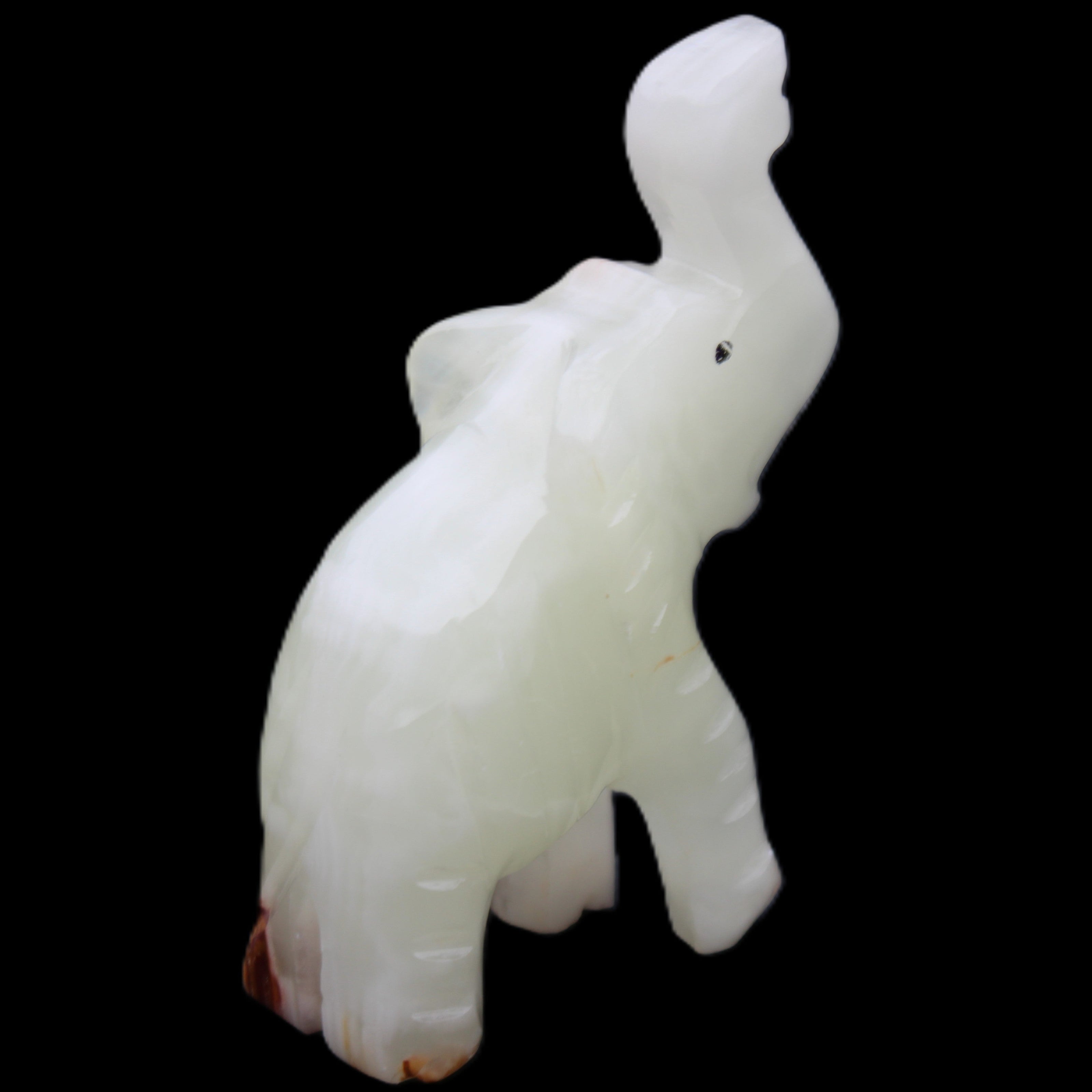 Afghan Jade hand-carved Elephant 68*28*110mm 225g in sunlight - Rocks and Things Store