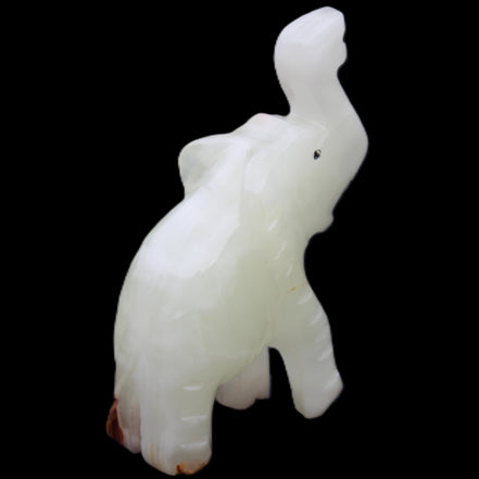 Afghan Jade hand-carved Elephant 68*28*110mm 225g in sunlight - Rocks and Things Store