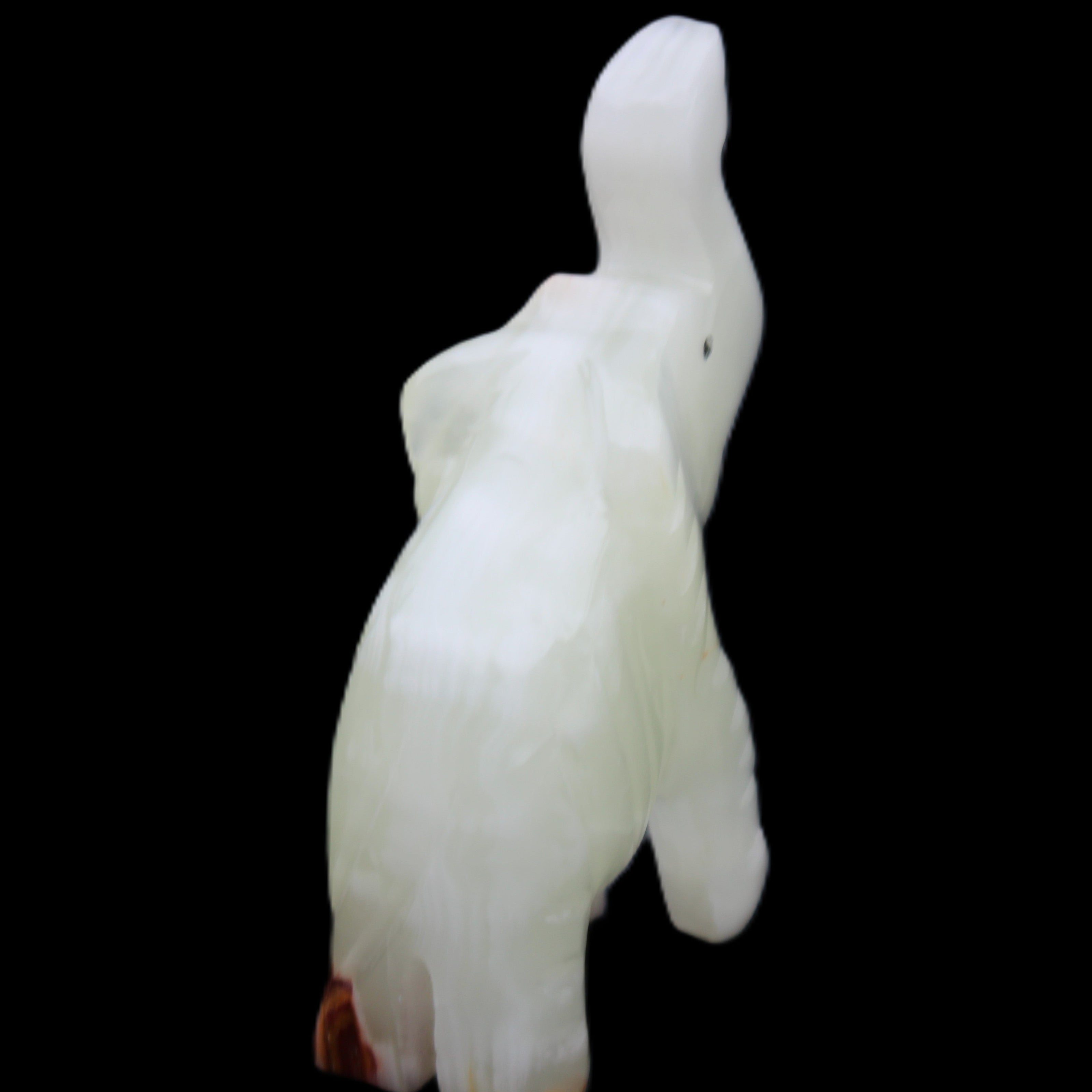 Afghan Jade hand-carved Elephant 68*28*110mm 225g in sunlight - Rocks and Things Store