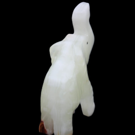 Afghan Jade hand-carved Elephant 68*28*110mm 225g in sunlight - Rocks and Things Store
