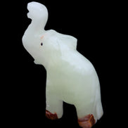 Afghan Jade hand-carved Elephant 68*28*110mm 225g in sunlight - Rocks and Things Store