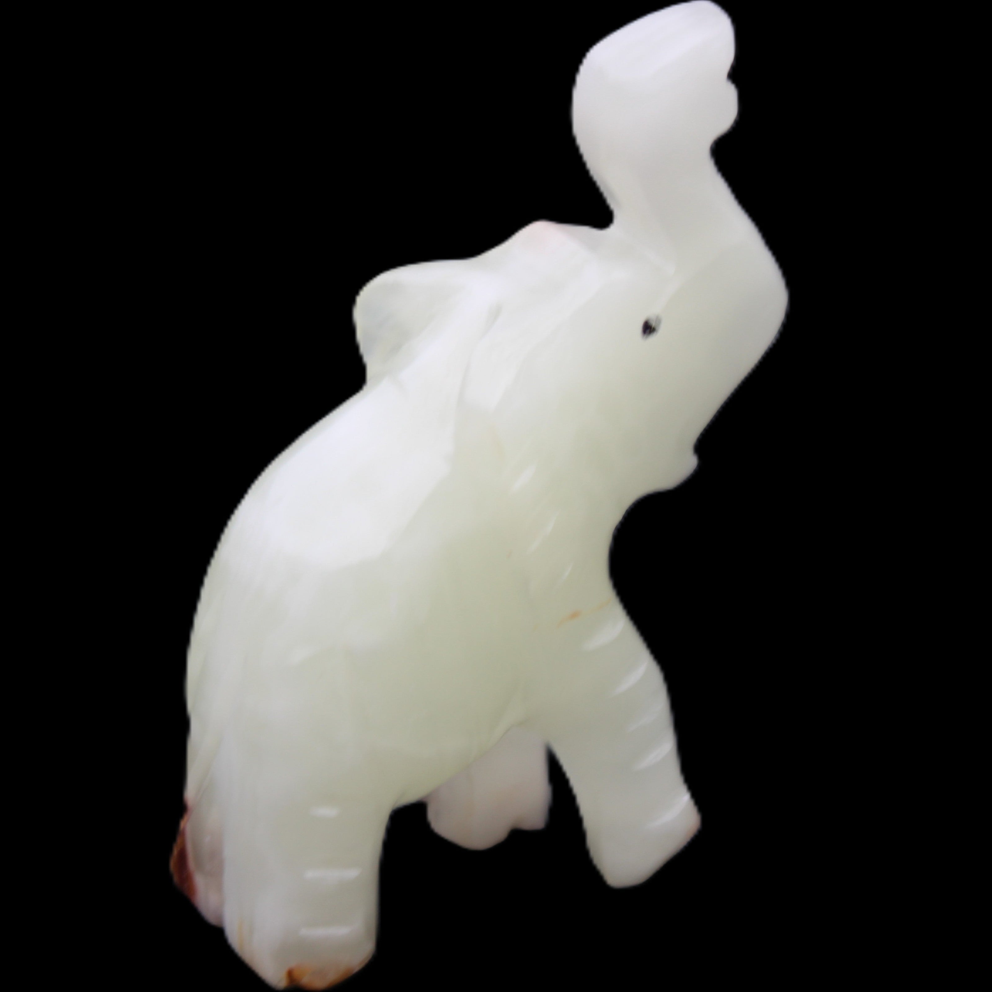 Afghan Jade hand-carved Elephant 68*28*110mm 225g in sunlight - Rocks and Things Store