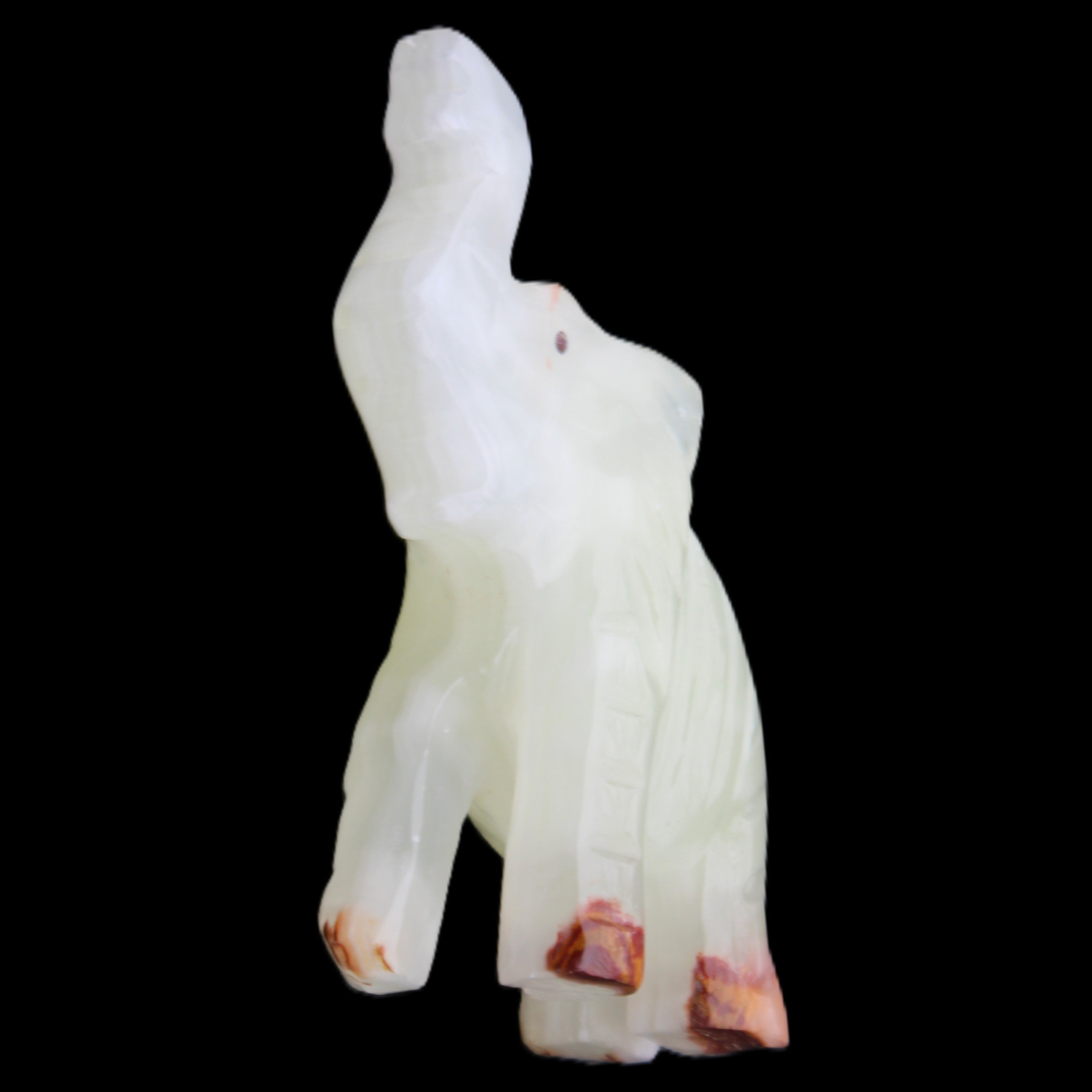 Afghan Jade hand-carved Elephant 68*28*110mm 225g in sunlight - Rocks and Things Store