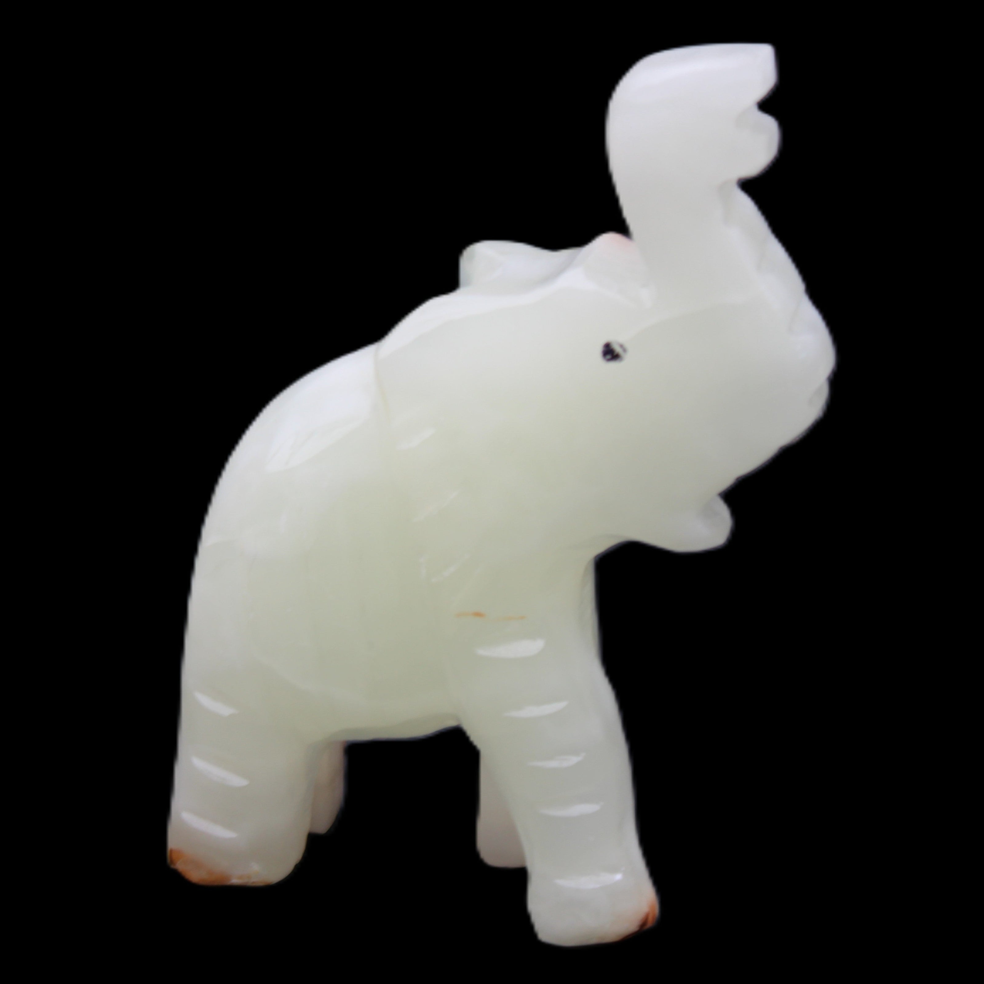 Afghan Jade hand-carved Elephant 68*28*110mm 225g in sunlight - Rocks and Things Store