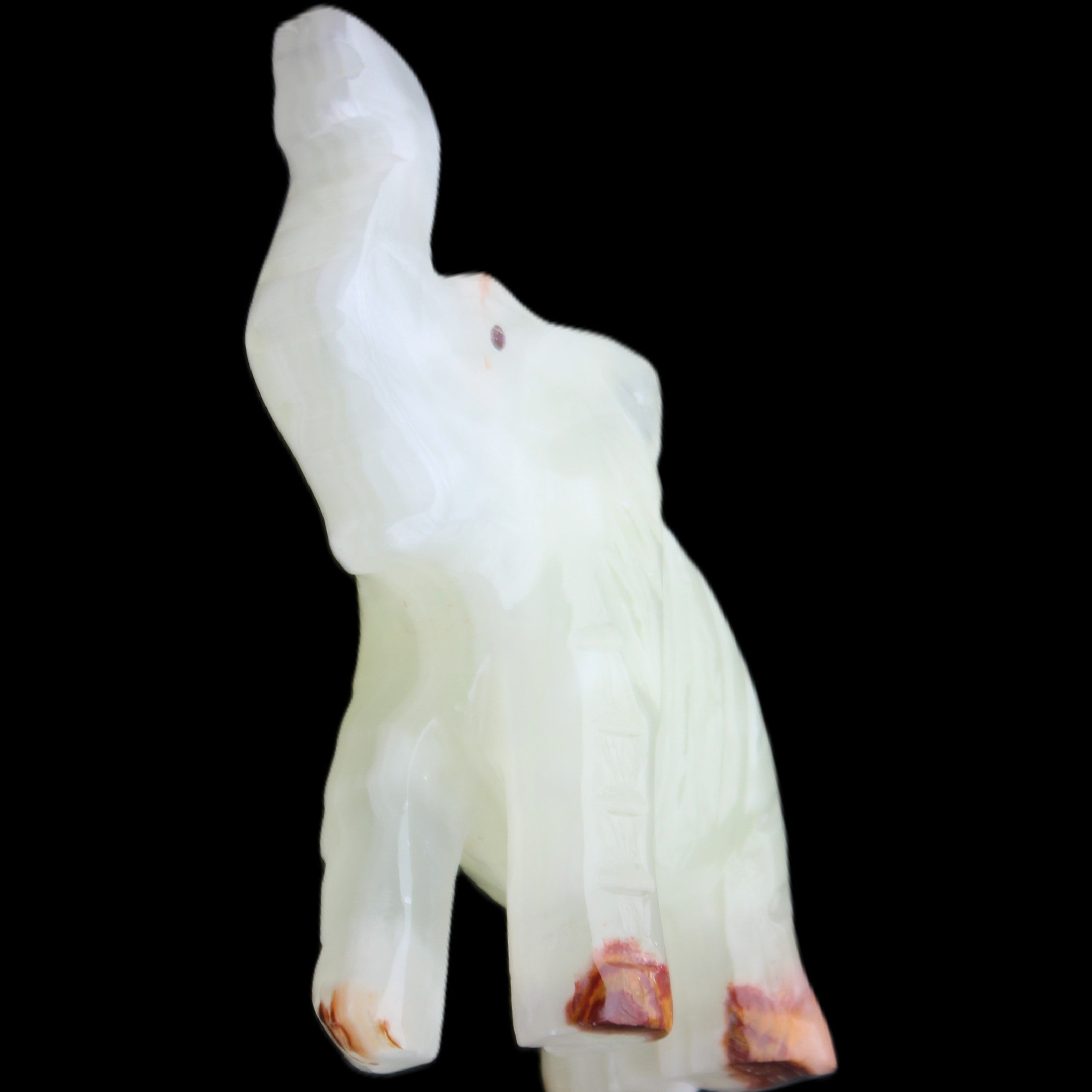 Afghan Jade hand-carved Elephant 68*28*110mm 225g in sunlight - Rocks and Things Store