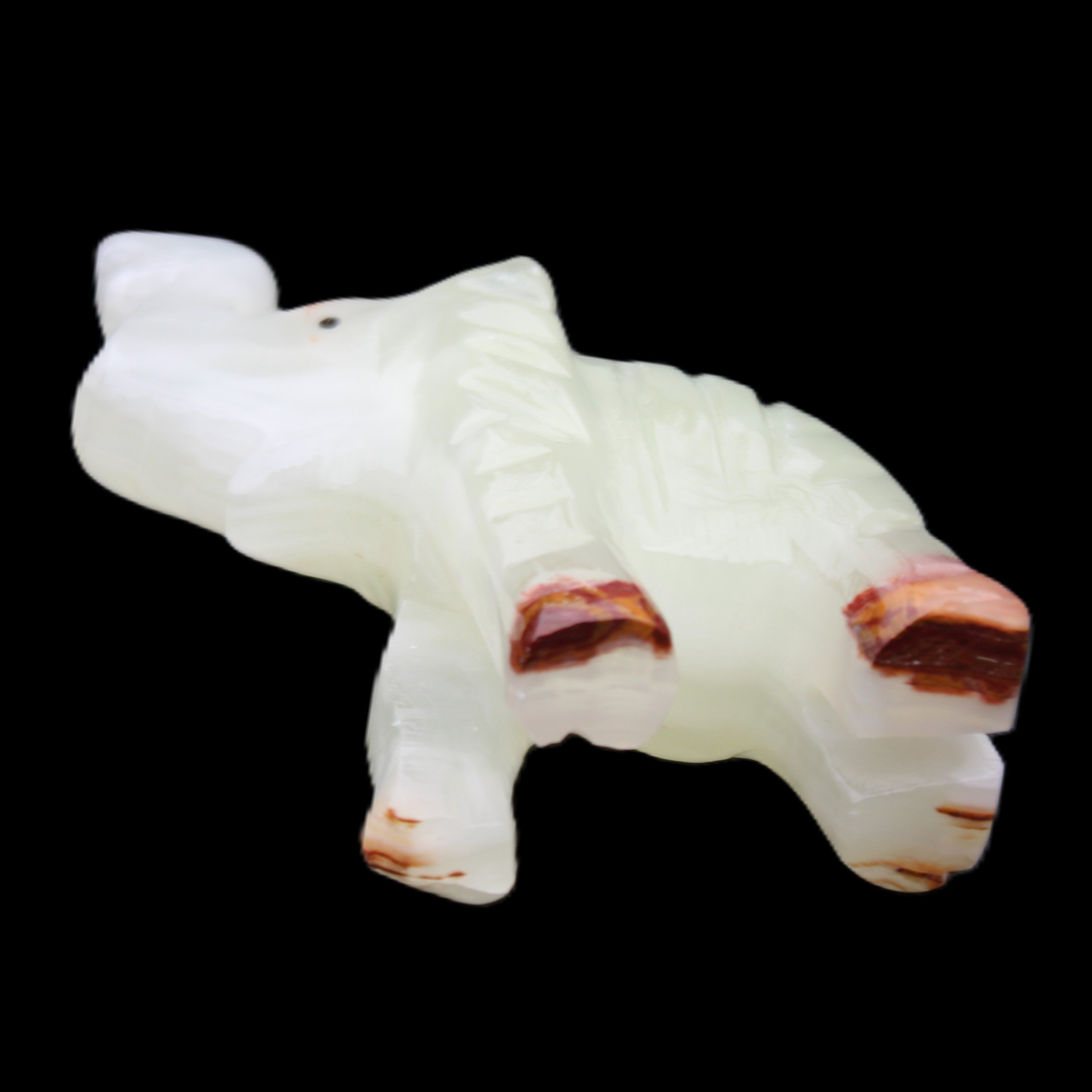 Afghan Jade hand-carved Elephant 68*28*110mm 225g in sunlight - Rocks and Things Store