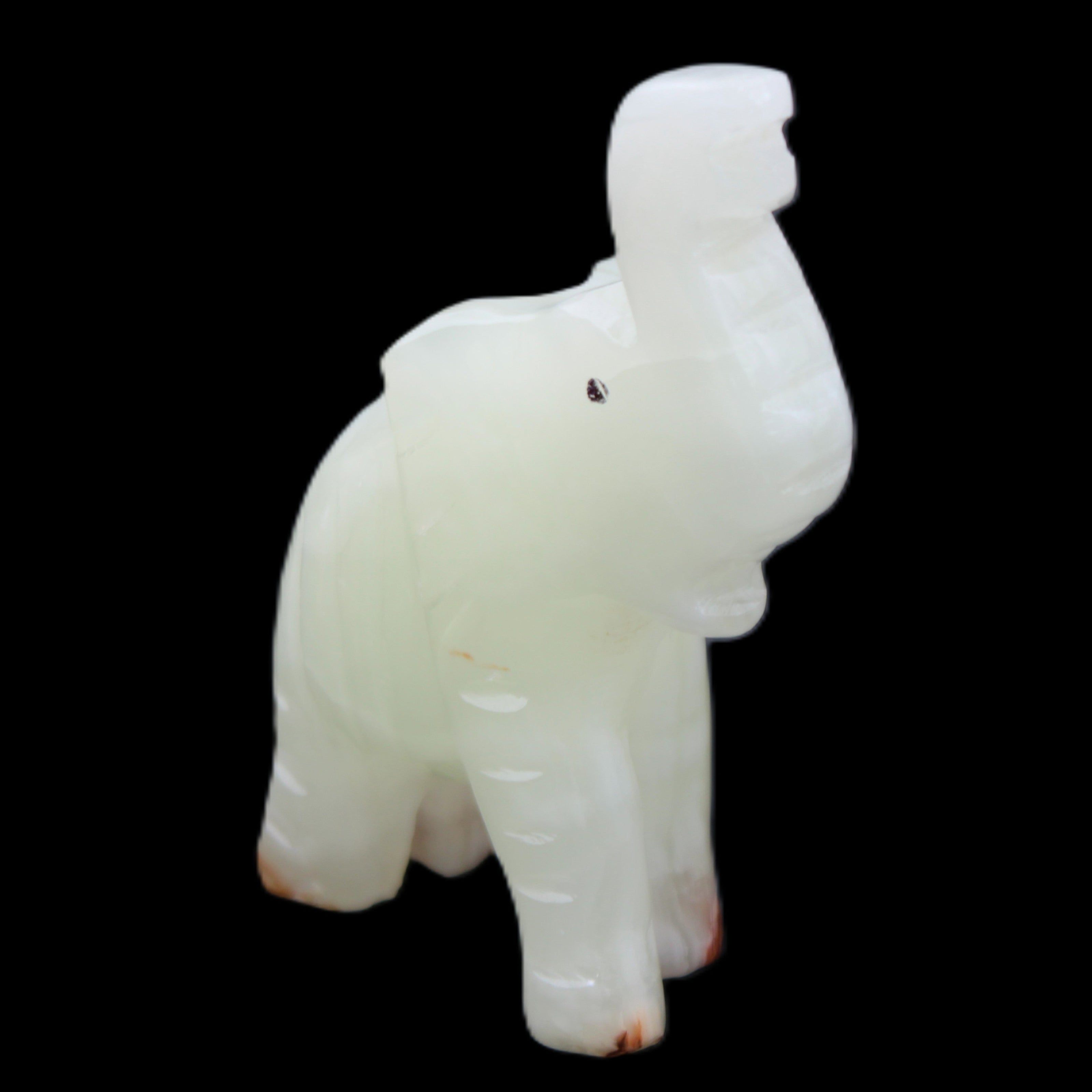 Afghan Jade hand-carved Elephant 68*28*110mm 225g in sunlight - Rocks and Things Store