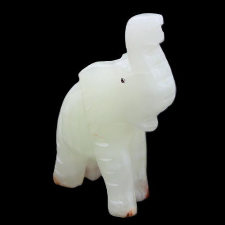 Afghan Jade hand-carved Elephant 68*28*110mm 225g in sunlight - Rocks and Things Store