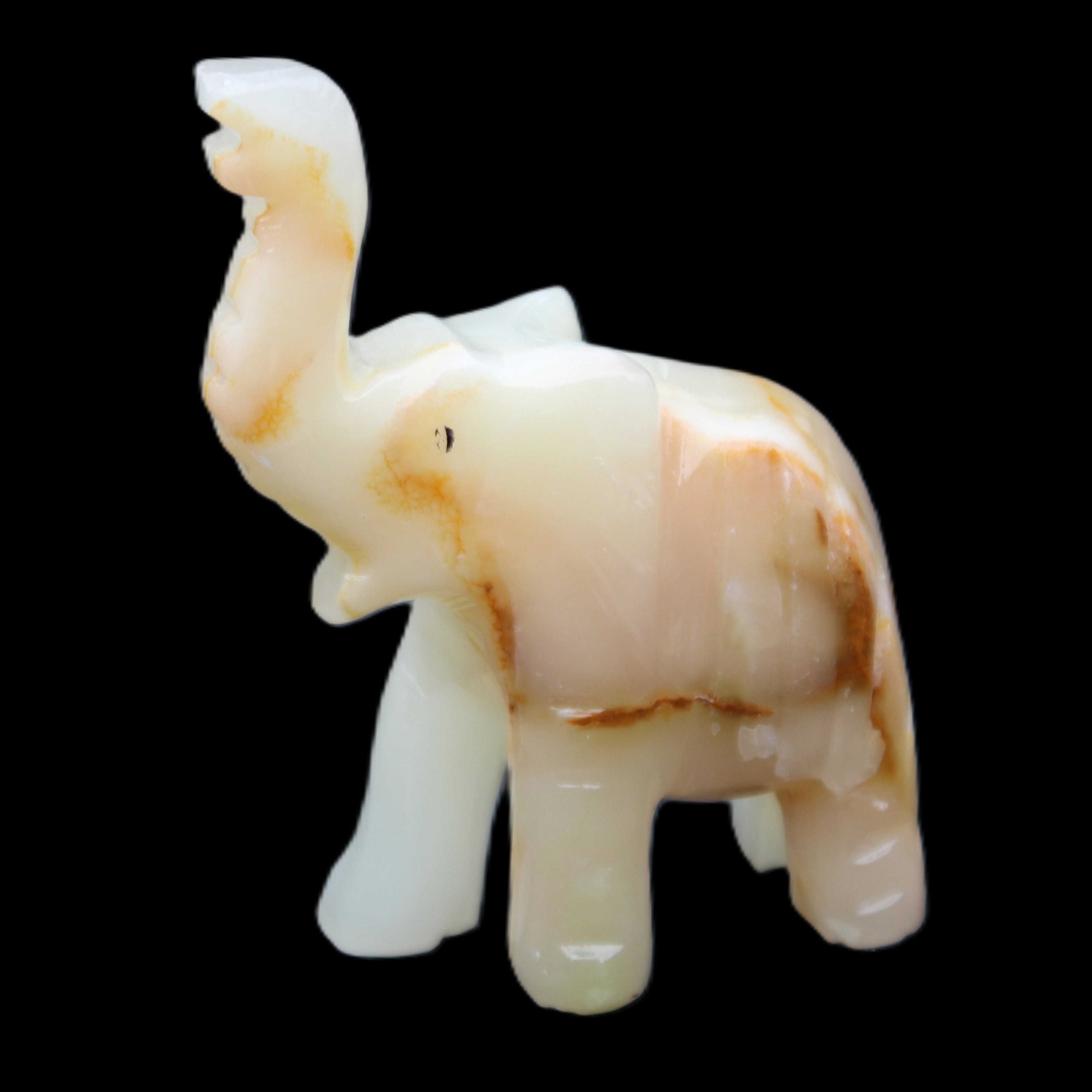 Afghan Jade hand-carved Elephant 75*35*112mm 245g in sunlight - Rocks and Things Store
