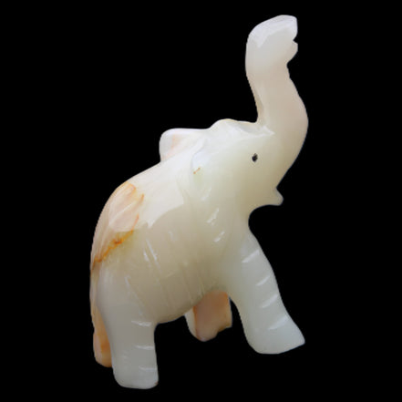 Afghan Jade hand-carved Elephant 75*35*112mm 245g in sunlight - Rocks and Things Store