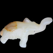 Afghan Jade hand-carved Elephant 75*35*112mm 245g in sunlight - Rocks and Things Store