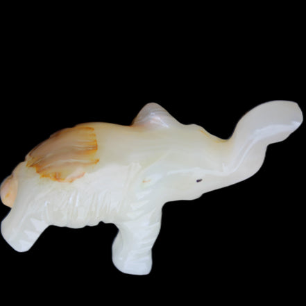 Afghan Jade hand-carved Elephant 75*35*112mm 245g in sunlight - Rocks and Things Store