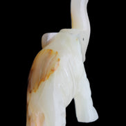 Afghan Jade hand-carved Elephant 75*35*112mm 245g in sunlight - Rocks and Things Store