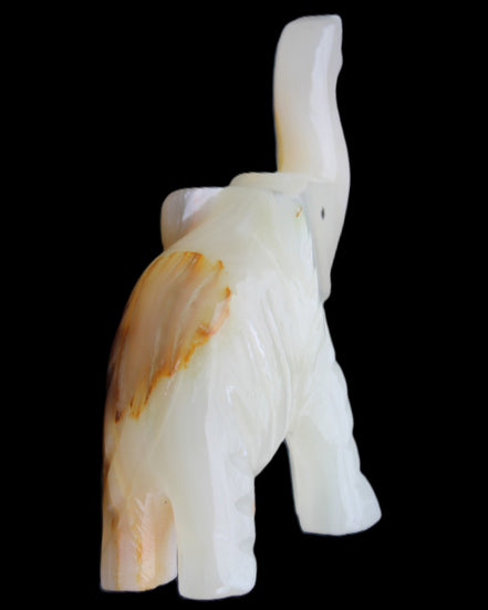 Afghan Jade hand-carved Elephant 75*35*112mm 245g in sunlight - Rocks and Things Store