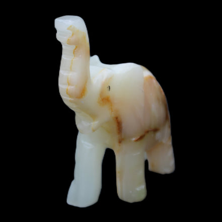 Afghan Jade hand-carved Elephant 75*35*112mm 245g in sunlight - Rocks and Things Store