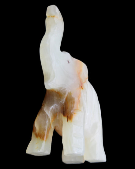 Afghan Jade hand-carved Elephant 73*35*113mm 271g in sunlight - Rocks and Things Store