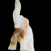 Afghan Jade hand-carved Elephant 73*35*113mm 271g in sunlight - Rocks and Things Store