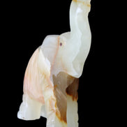 Afghan Jade hand-carved Elephant 73*35*113mm 271g in sunlight - Rocks and Things Store