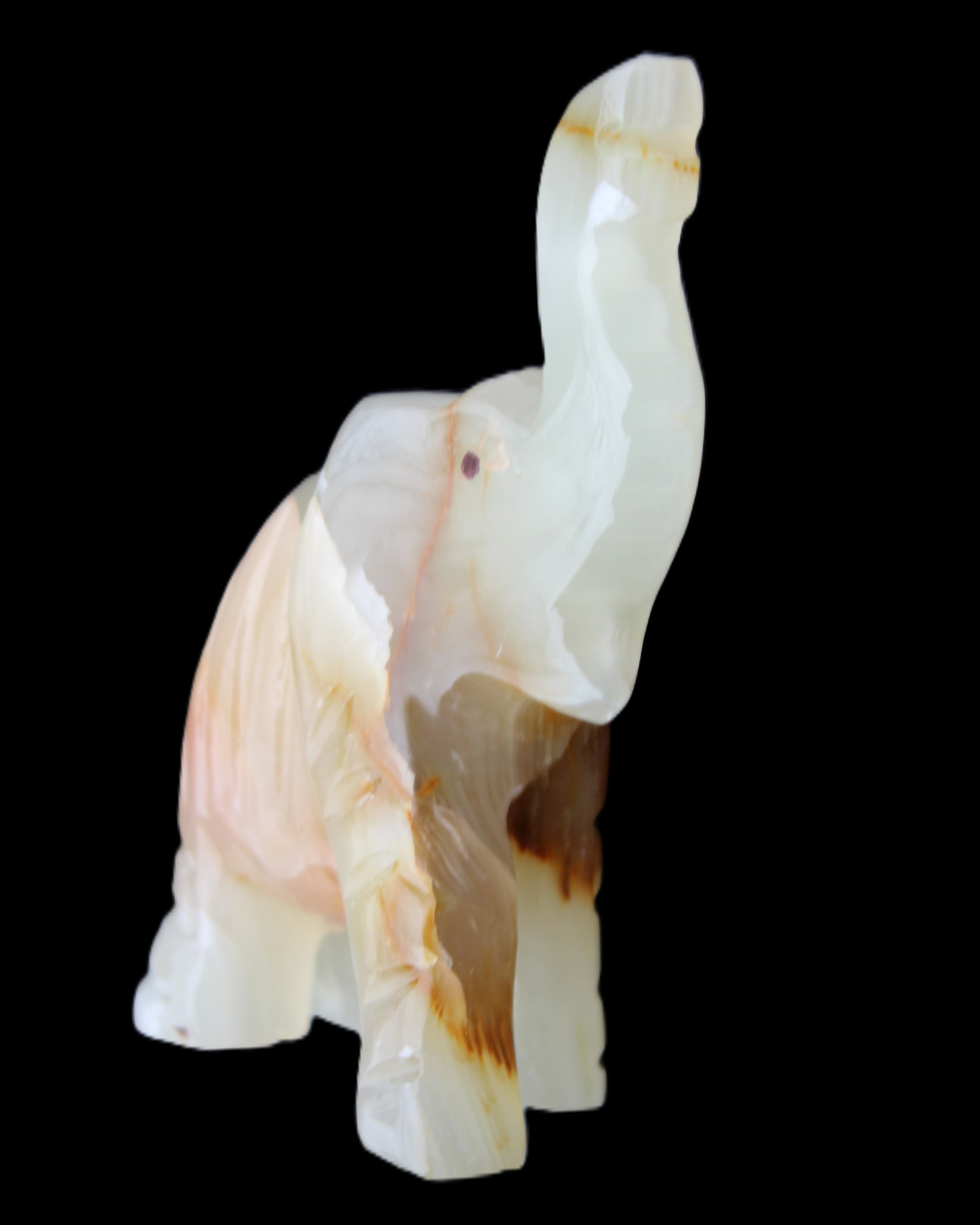 Afghan Jade hand-carved Elephant 73*35*113mm 271g in sunlight - Rocks and Things Store