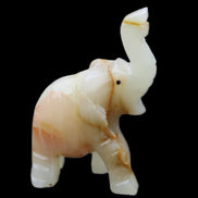 Afghan Jade hand-carved Elephant 73*35*113mm 271g in sunlight - Rocks and Things Store