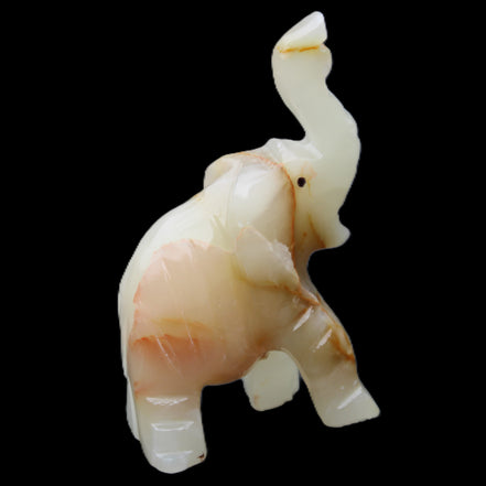 Afghan Jade hand-carved Elephant 73*35*113mm 271g in sunlight - Rocks and Things Store