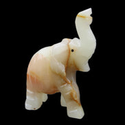 Afghan Jade hand-carved Elephant 73*35*113mm 271g in sunlight - Rocks and Things Store
