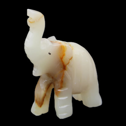 Afghan Jade hand-carved Elephant 73*35*113mm 271g in sunlight - Rocks and Things Store