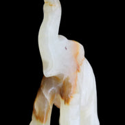 Afghan Jade hand-carved Elephant 73*35*113mm 271g in sunlight - Rocks and Things Store