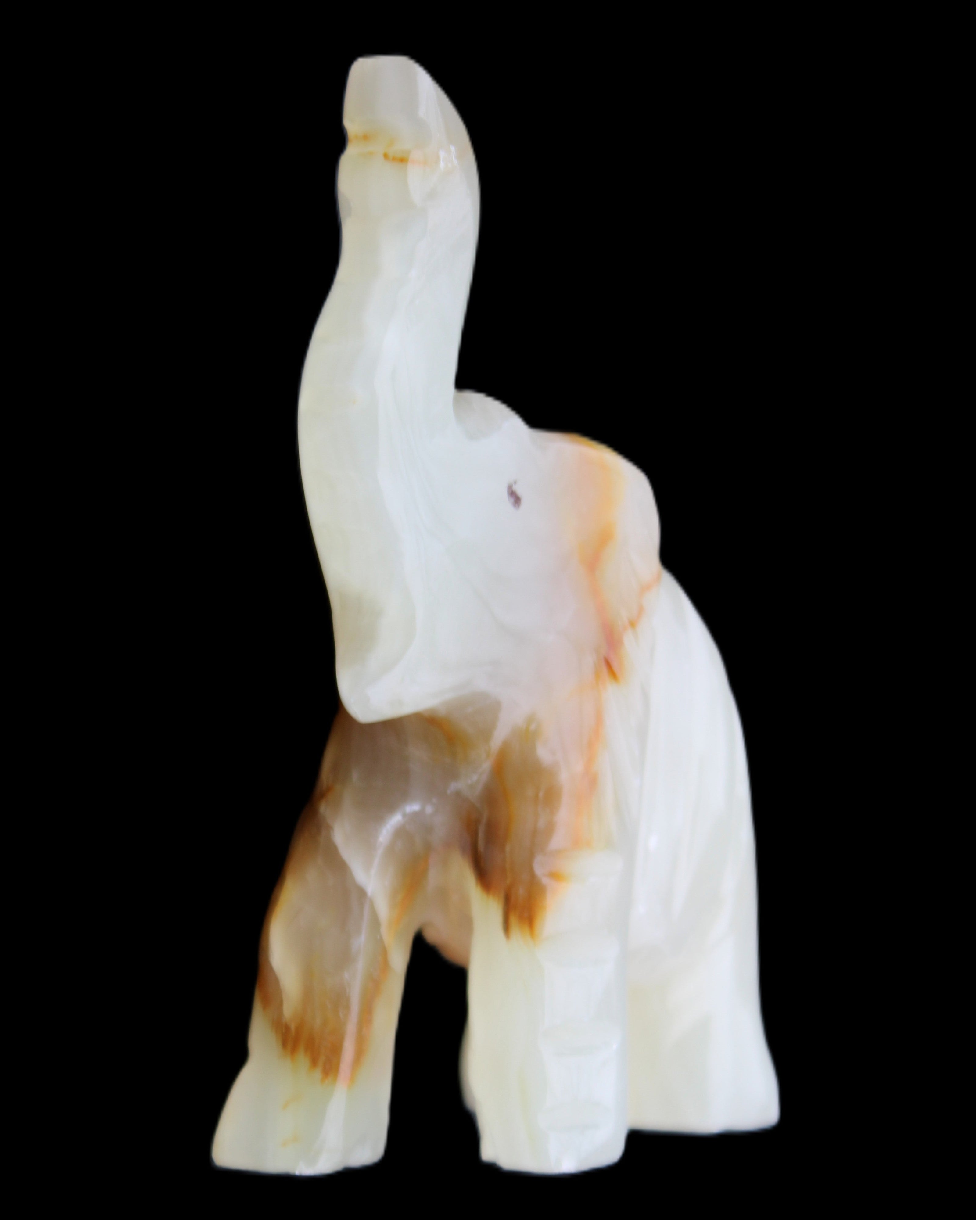 Afghan Jade hand-carved Elephant 73*35*113mm 271g in sunlight - Rocks and Things Store