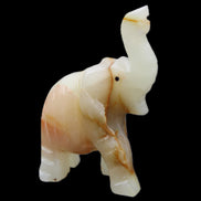 Afghan Jade hand-carved Elephant 73*35*113mm 271g in sunlight - Rocks and Things Store