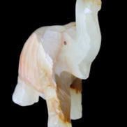 Afghan Jade hand-carved Elephant 73*35*113mm 271g in sunlight - Rocks and Things Store