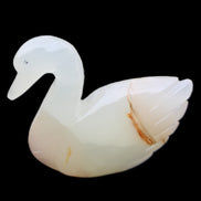 Afghan Jade hand-carved Swan 100*35*82mm 295g in sunlight - Rocks and Things Store