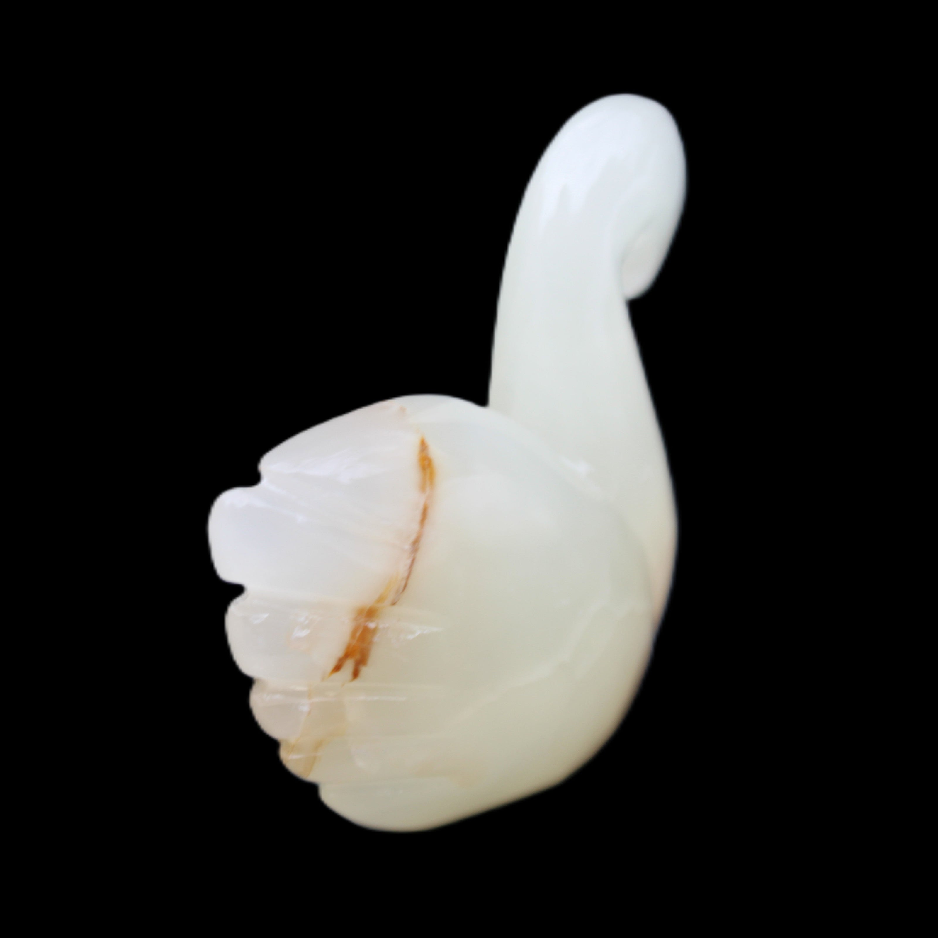 Afghan Jade hand-carved Swan 100*35*82mm 295g in sunlight - Rocks and Things Store