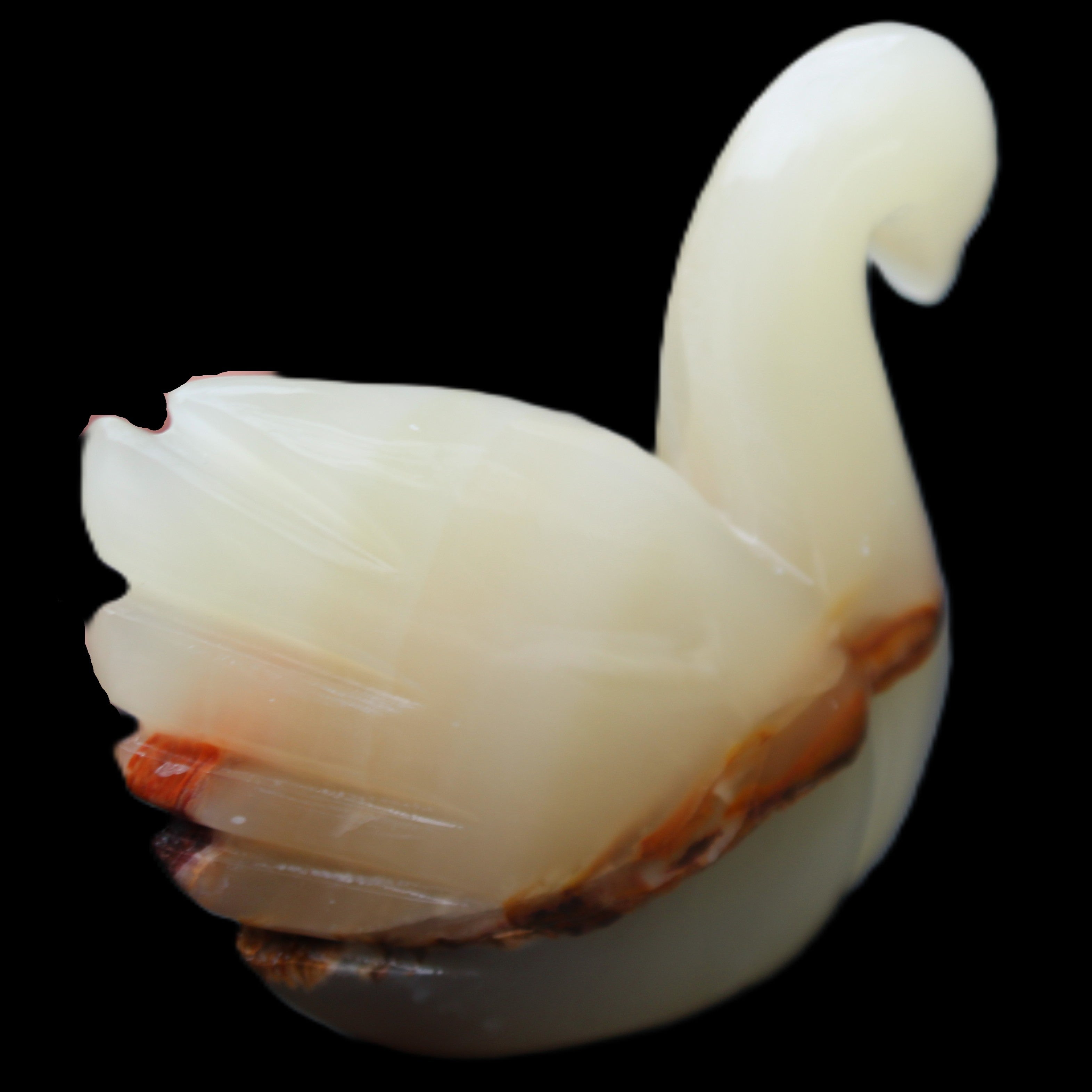 Afghan Jade hand-carved Swan 103*32*85mm 328g in sunlight - Rocks and Things Store