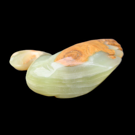 Afghan Jade hand-carved Swan 103*33*76mm 309g in sunlight - Rocks and Things Store