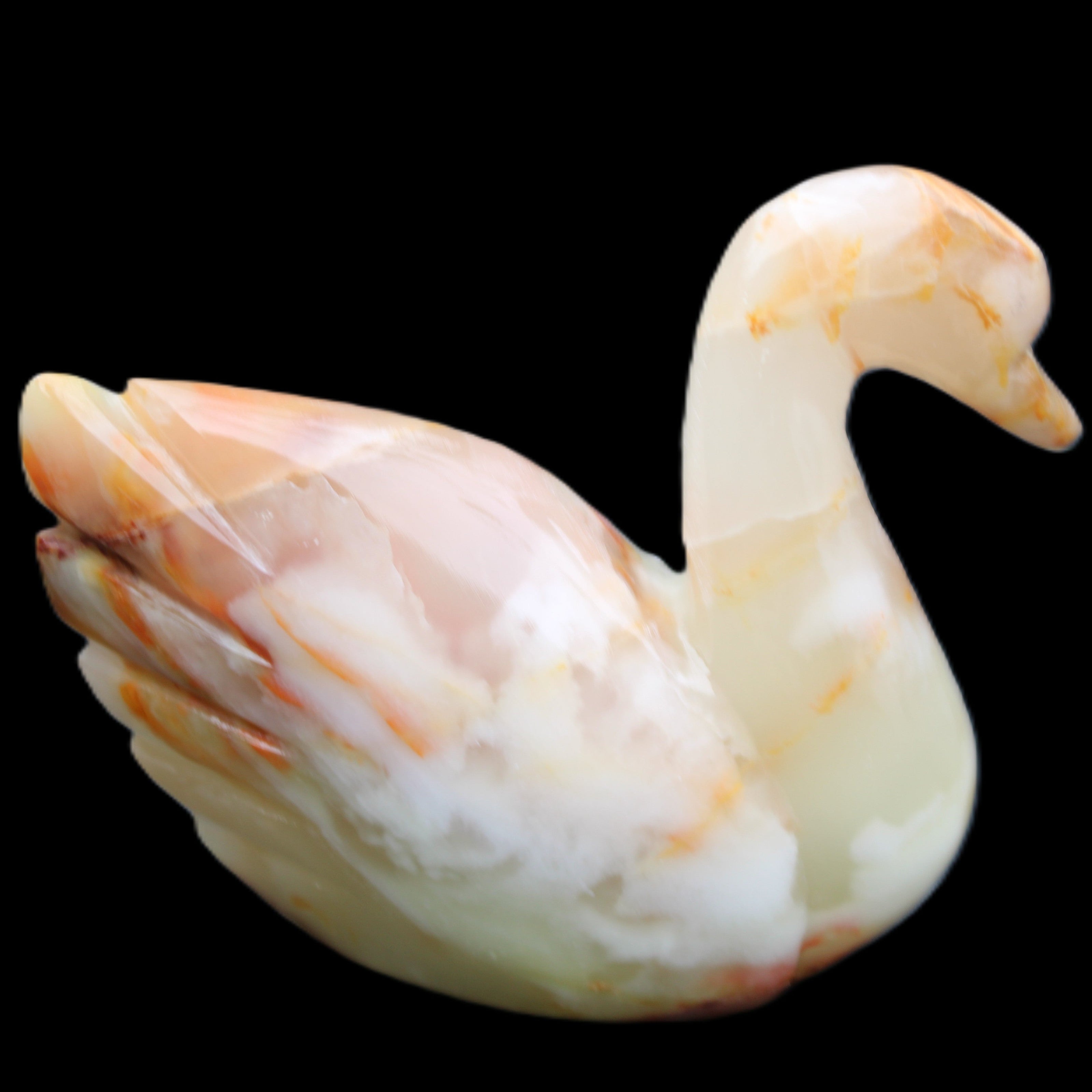 Afghan Jade hand-carved Swan 103*31*86mm 317g in sunlight - Rocks and Things Store