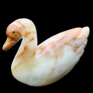 Afghan Jade hand-carved Swan 103*31*86mm 317g in sunlight - Rocks and Things Store