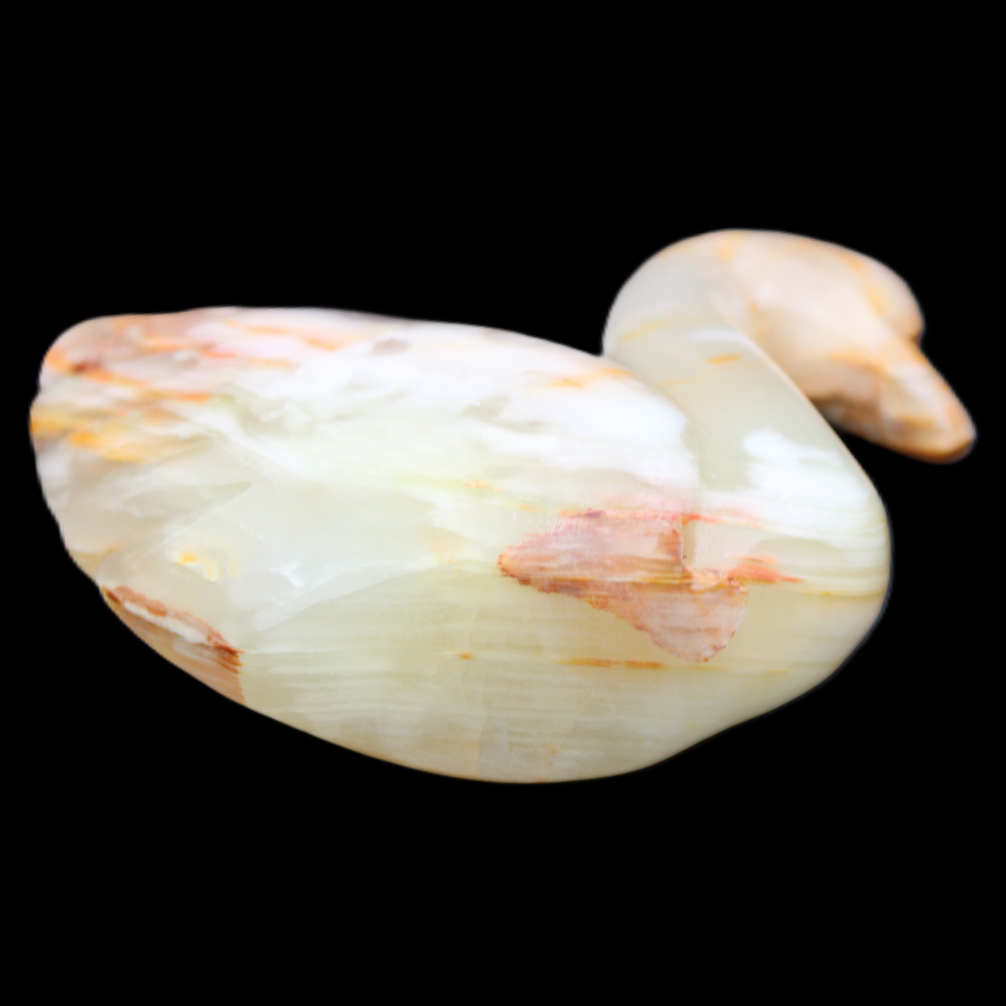 Afghan Jade hand-carved Swan 103*31*86mm 317g in sunlight - Rocks and Things Store