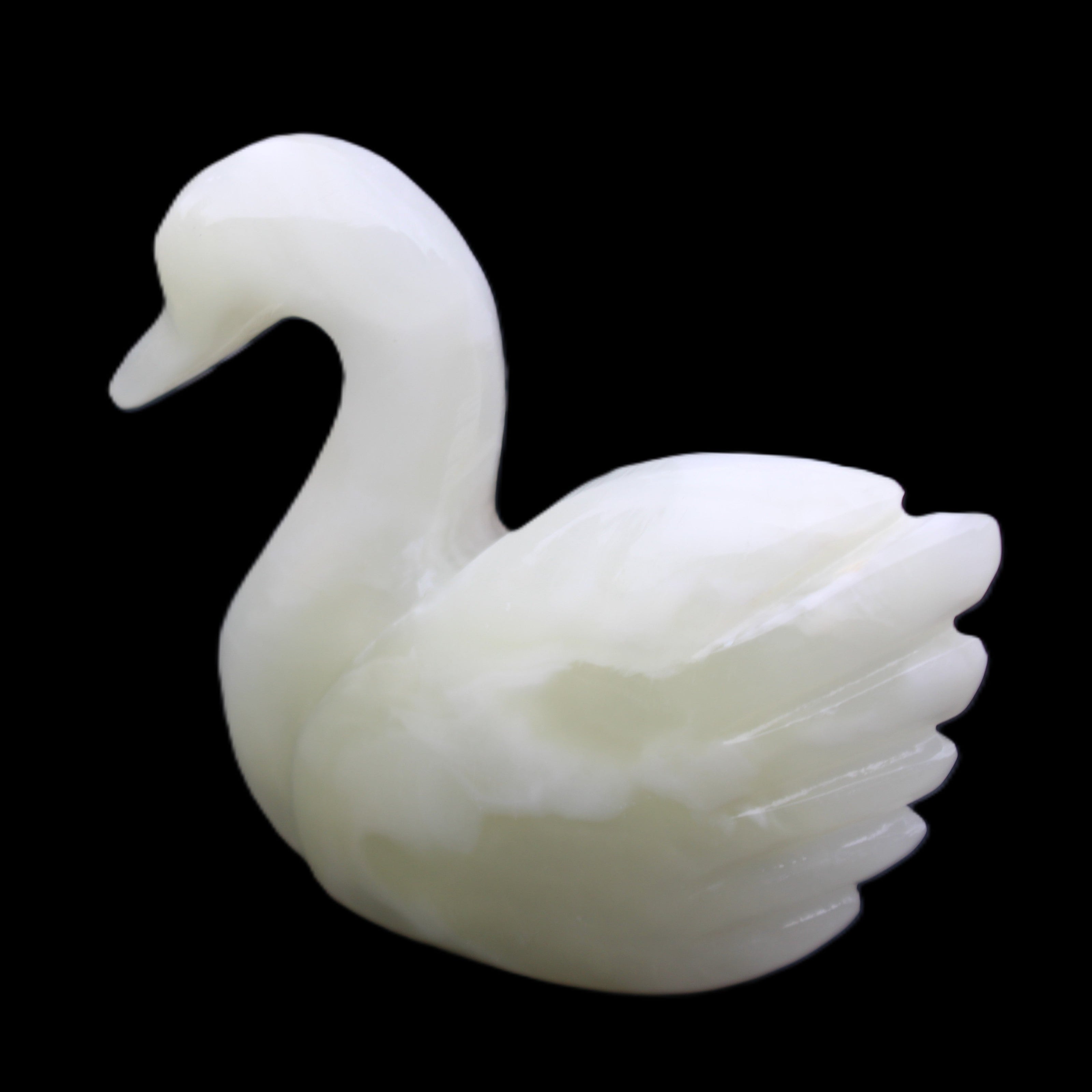 Afghan Jade hand-carved Swan 95*31*84mm 312g in sunlight - Rocks and Things Store