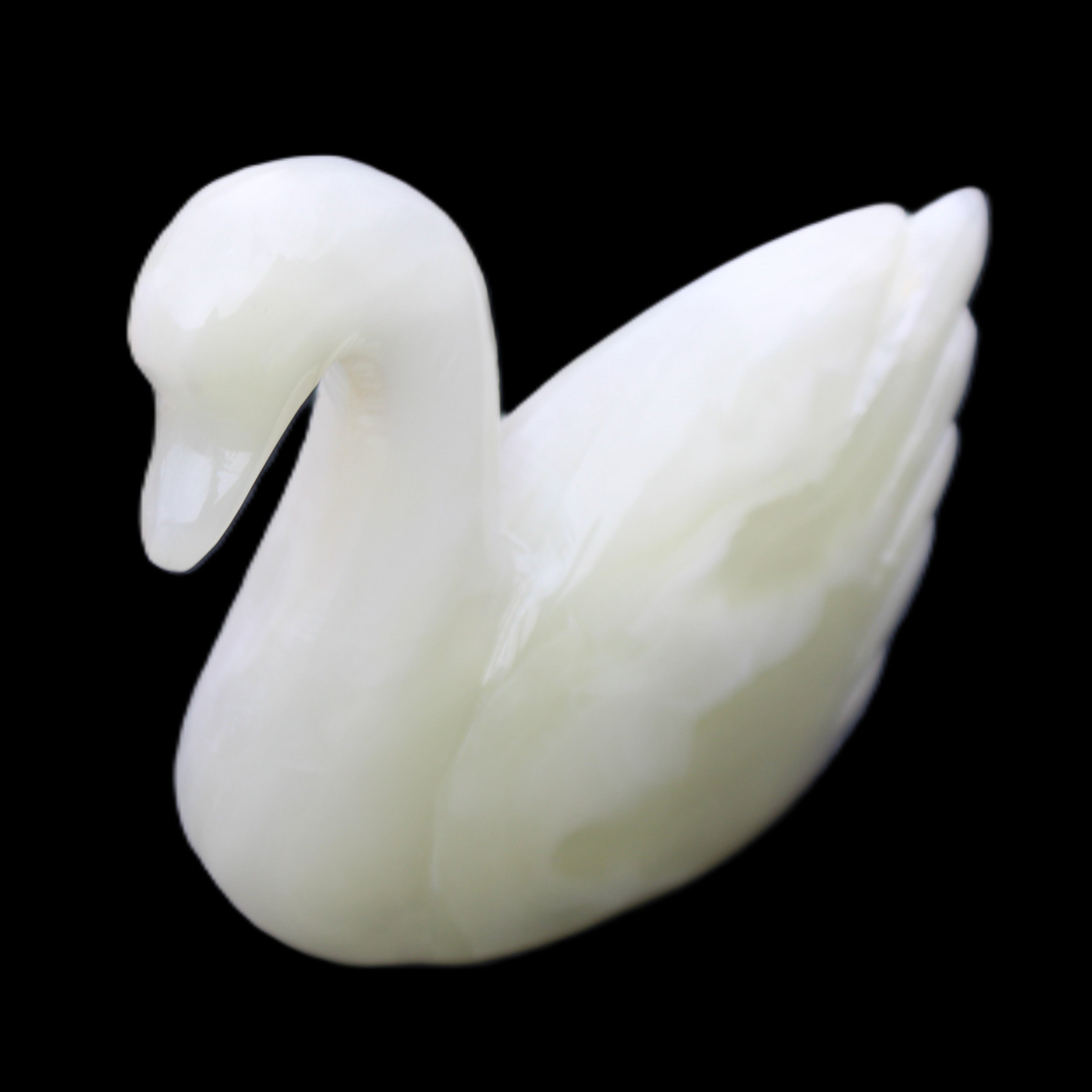 Afghan Jade hand-carved Swan 95*31*84mm 312g in sunlight - Rocks and Things Store