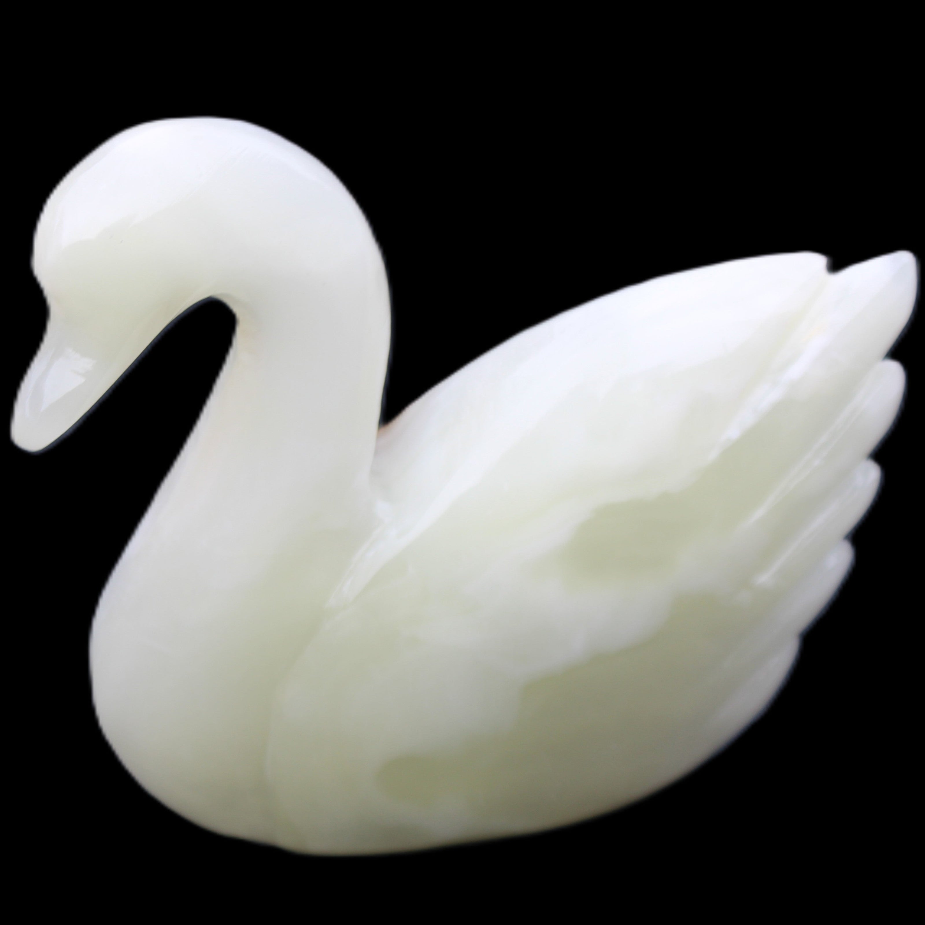 Afghan Jade hand-carved Swan 95*31*84mm 312g in sunlight - Rocks and Things Store